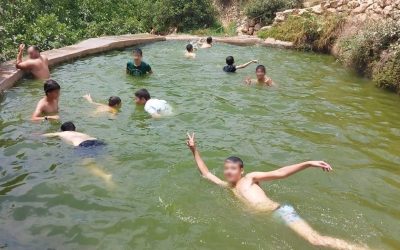 A Dream Summer that Came True
